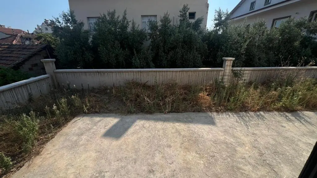 Mature garden